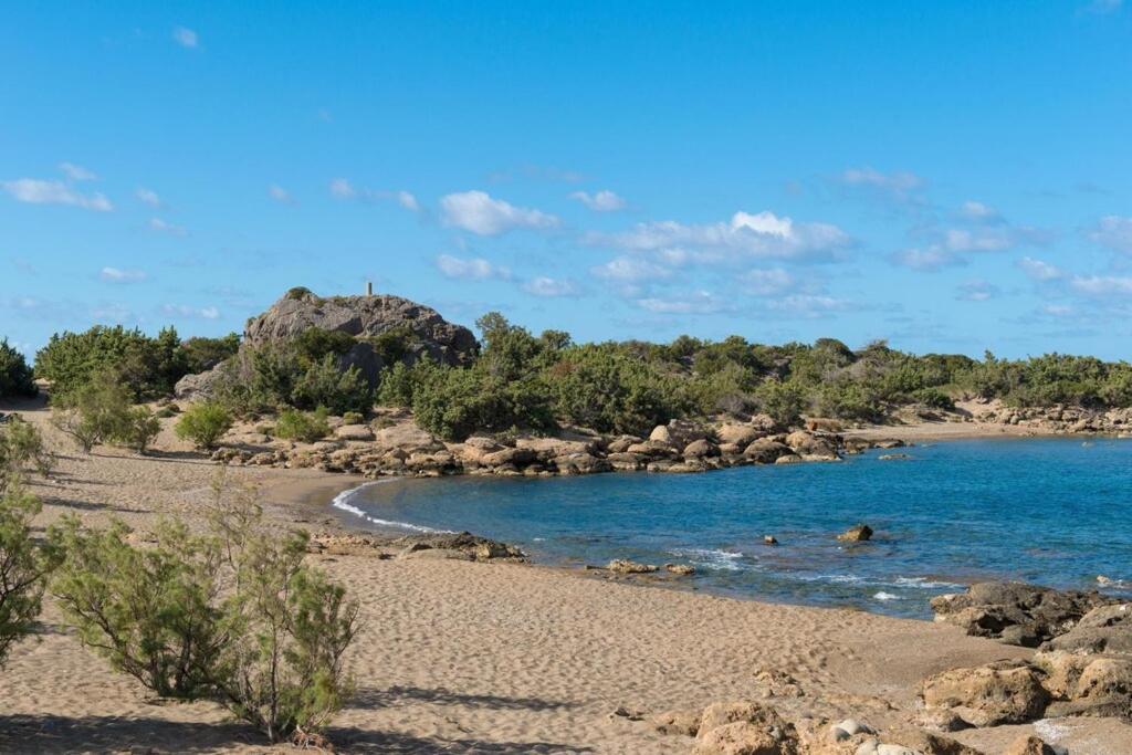 Cedar Bay Beachside Villas 帕琉乔拉 外观 照片
