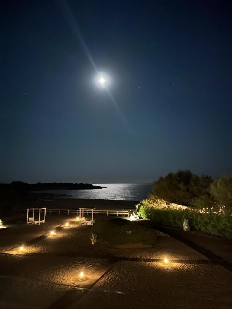 Cedar Bay Beachside Villas 帕琉乔拉 外观 照片